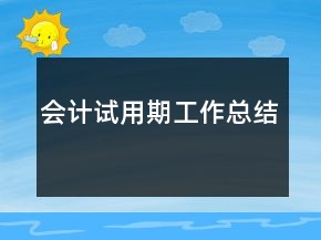 會計試用期工作總結