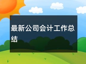 最新公司會(huì)計(jì)工作總結(jié)