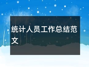 統計人員工作總結范文