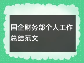 國(guó)企財(cái)務(wù)部個(gè)人工作總結(jié)范文