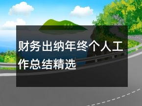 財務出納年終個人工作總結精選