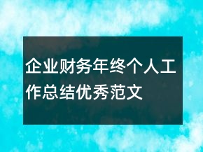 企業(yè)財務(wù)年終個人工作總結(jié)優(yōu)秀范文