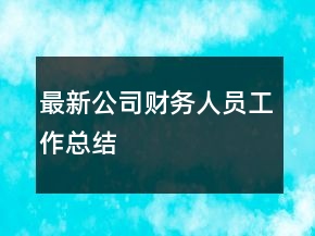 最新公司財務(wù)人員工作總結(jié)