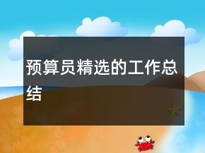 預(yù)算員精選的工作總結(jié)