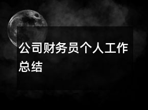 公司財務(wù)員個人工作總結(jié)