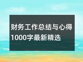 財(cái)務(wù)工作總結(jié)與心得1000字最新精選