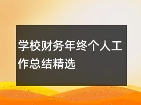 學(xué)校財(cái)務(wù)年終個(gè)人工作總結(jié)精選