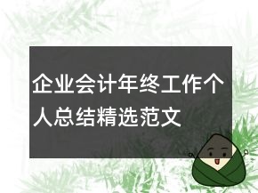 企業(yè)會計年終工作個人總結(jié)精選范文