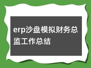 erp沙盤模擬財(cái)務(wù)總監(jiān)工作總結(jié)