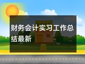 財務(wù)會計實(shí)習(xí)工作總結(jié)最新