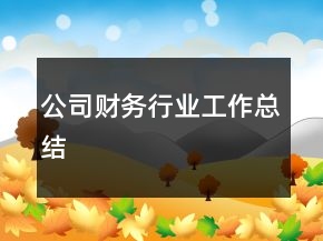 公司財務(wù)行業(yè)工作總結(jié)