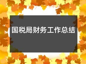 國稅局財務(wù)工作總結(jié)