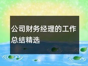 公司財(cái)務(wù)經(jīng)理的工作總結(jié)精選
