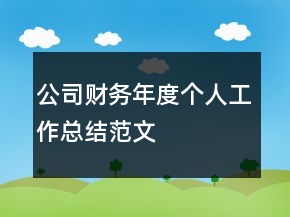 公司財(cái)務(wù)年度個(gè)人工作總結(jié)范文