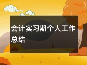會計(jì)實(shí)習(xí)期個(gè)人工作總結(jié)