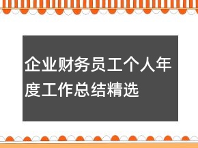企業(yè)財務員工個人年度工作總結精選