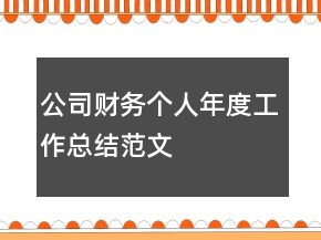 公司財務(wù)個人年度工作總結(jié)范文