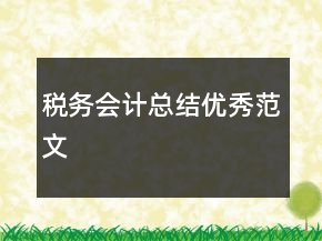 稅務(wù)會計(jì)總結(jié)優(yōu)秀范文