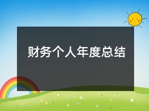 財務(wù)個人年度總結(jié)