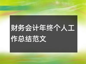 財務(wù)會計年終個人工作總結(jié)范文