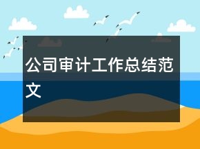 公司審計工作總結范文