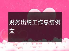 財務出納工作總結例文