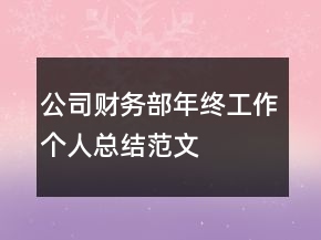公司財務部年終工作個人總結范文
