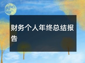財務個人年終總結報告