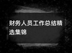 財(cái)務(wù)人員工作總結(jié)精選集錦