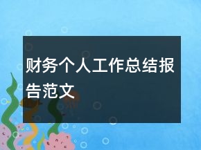 財務個人工作總結報告范文