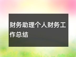 財務助理個人財務工作總結