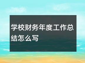 學校財務年度工作總結怎么寫
