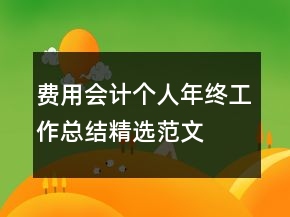 費(fèi)用會計個人年終工作總結(jié)精選范文