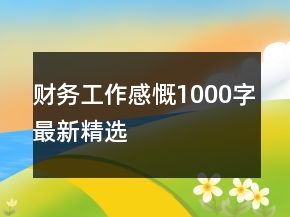 財務(wù)工作感慨1000字最新精選