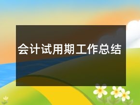會(huì)計(jì)試用期工作總結(jié)