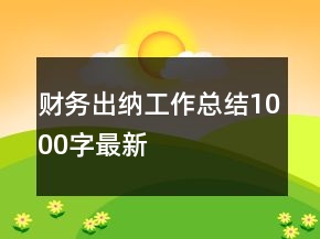財務出納工作總結1000字最新