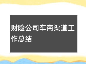 財險公司車商渠道工作總結(jié)