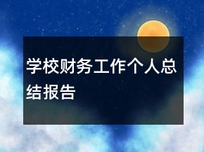 學(xué)校財務(wù)工作個人總結(jié)報告