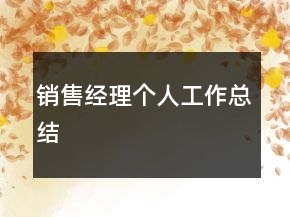 銷售經(jīng)理個(gè)人工作總結(jié)