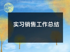 實(shí)習(xí)銷售工作總結(jié)