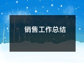 銷售工作總結(jié)