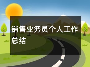 銷(xiāo)售業(yè)務(wù)員個(gè)人工作總結(jié)