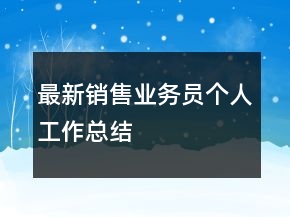 最新銷(xiāo)售業(yè)務(wù)員個(gè)人工作總結(jié)