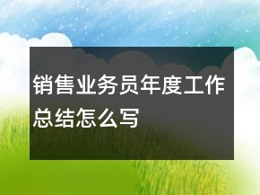 銷售業(yè)務員年度工作總結(jié)怎么寫
