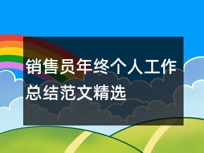 銷售員年終個人工作總結(jié)范文精選