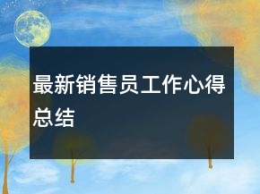 最新銷售員工作心得總結(jié)