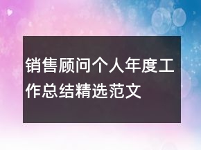 銷售顧問個(gè)人年度工作總結(jié)精選范文