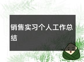 銷售實習個人工作總結