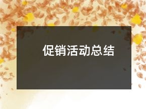 促銷活動(dòng)總結(jié)