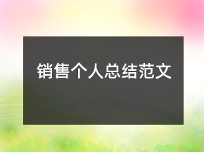 銷售個(gè)人總結(jié)范文